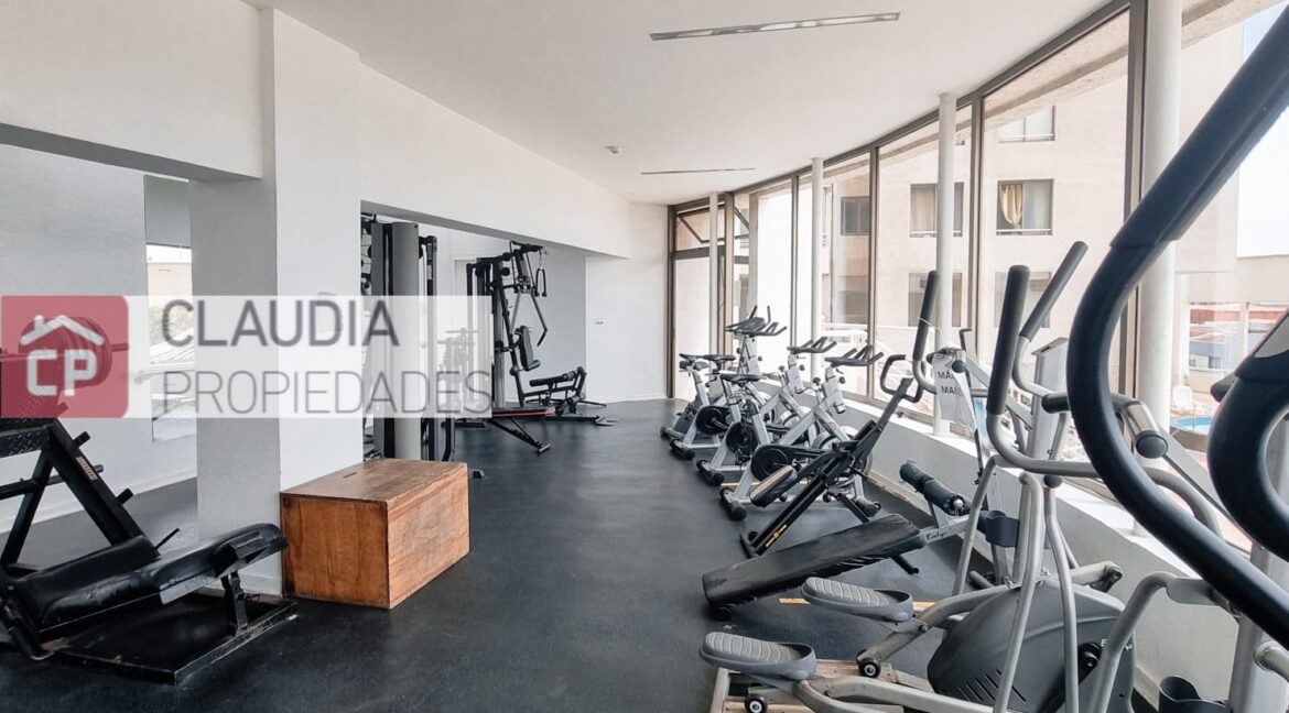geo gimnasio