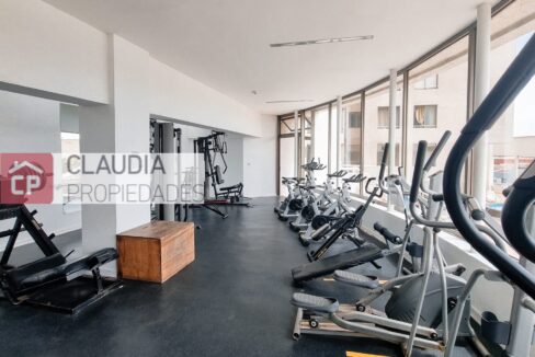 geo gimnasio