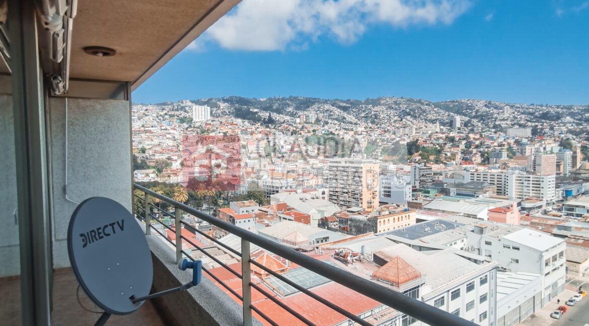 WhatsApp Image 2024-09-24 at 11.53.54