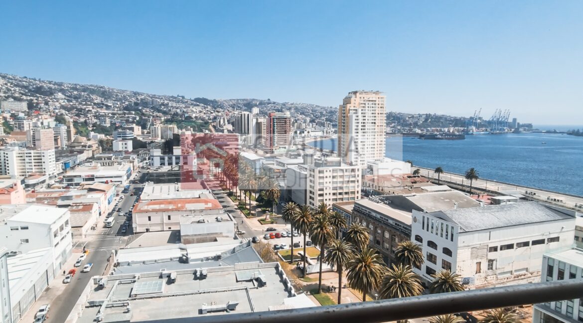 WhatsApp Image 2024-09-24 at 11.53.58