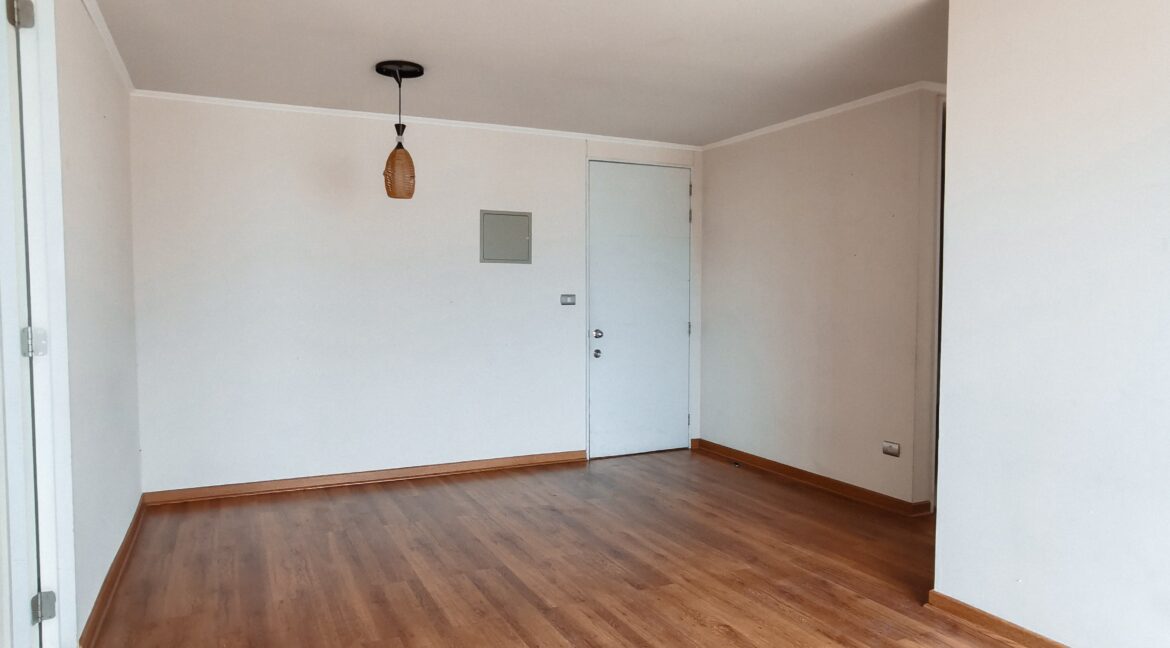 WhatsApp Image 2025-01-09 at 11.24.50 (3)