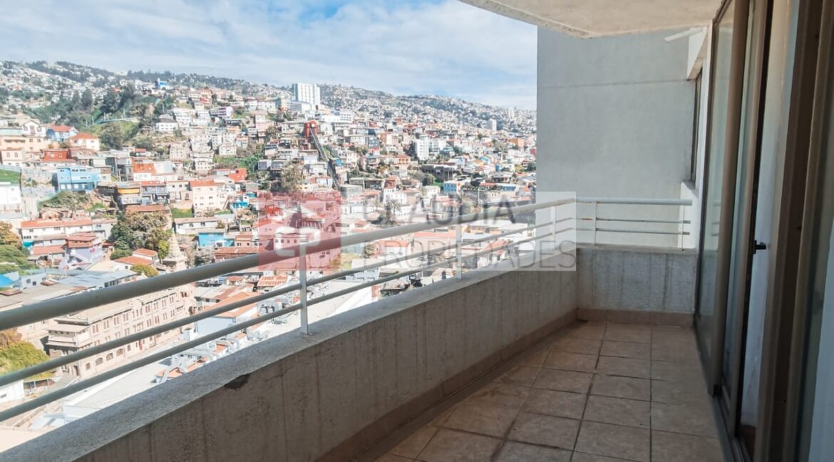 WhatsApp Image 2024-08-21 at 15.20.27