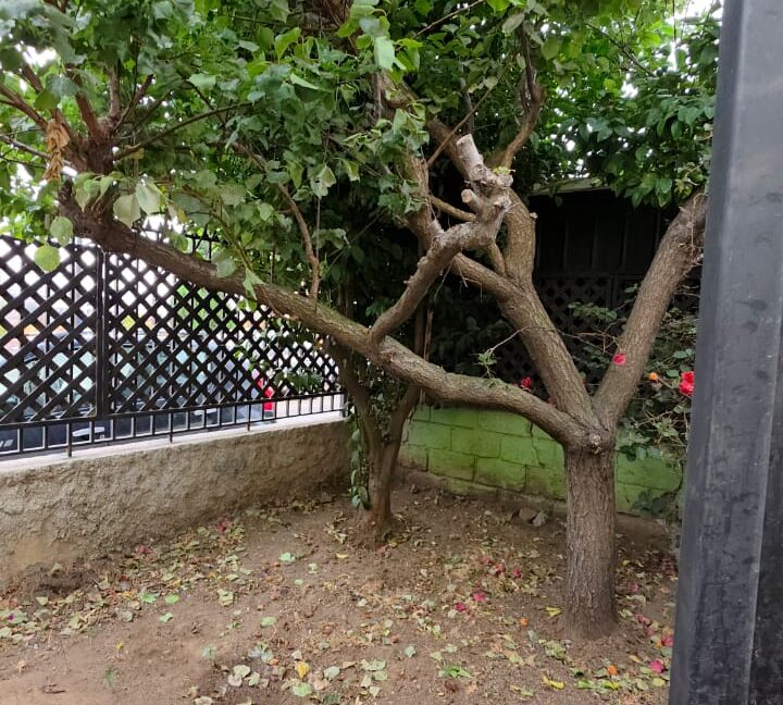 WhatsApp Image 2026-01-20 at 13.02.26 (2)