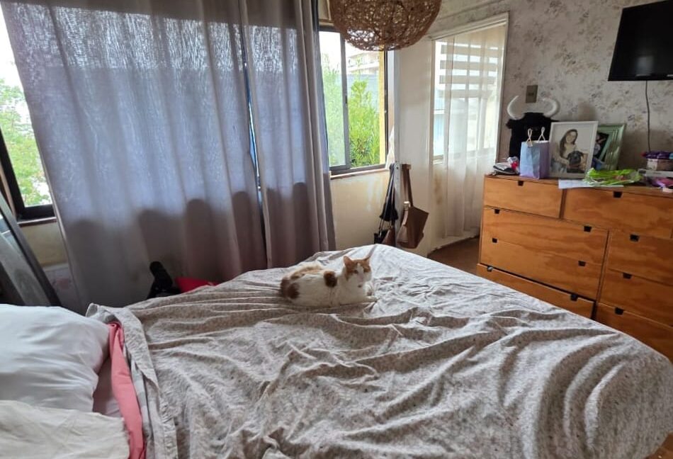 WhatsApp Image 2026-01-20 at 13.02.28 (1)