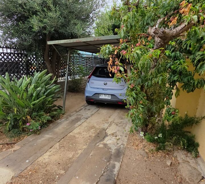 WhatsApp Image 2026-01-20 at 13.02.29