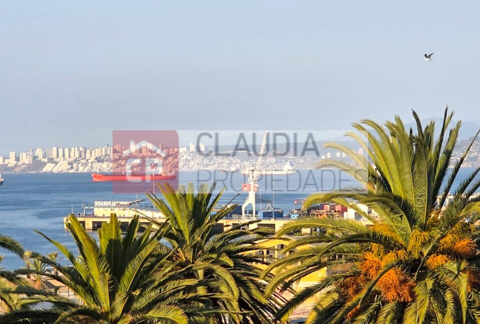 WhatsApp Image 2026-01-22 at 11.28.49 (4)