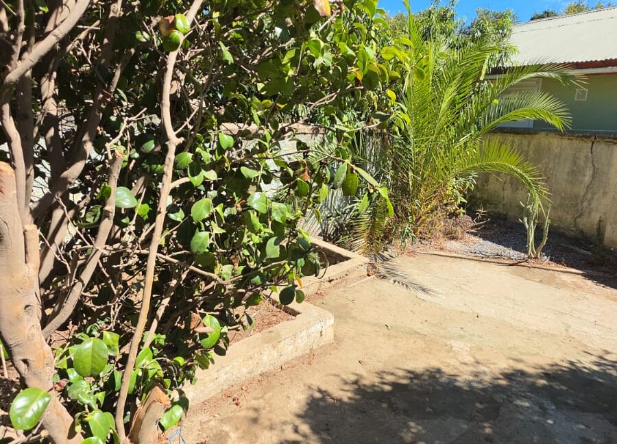 504464a5-6c84-44fd-a215-45e419fc2ea8