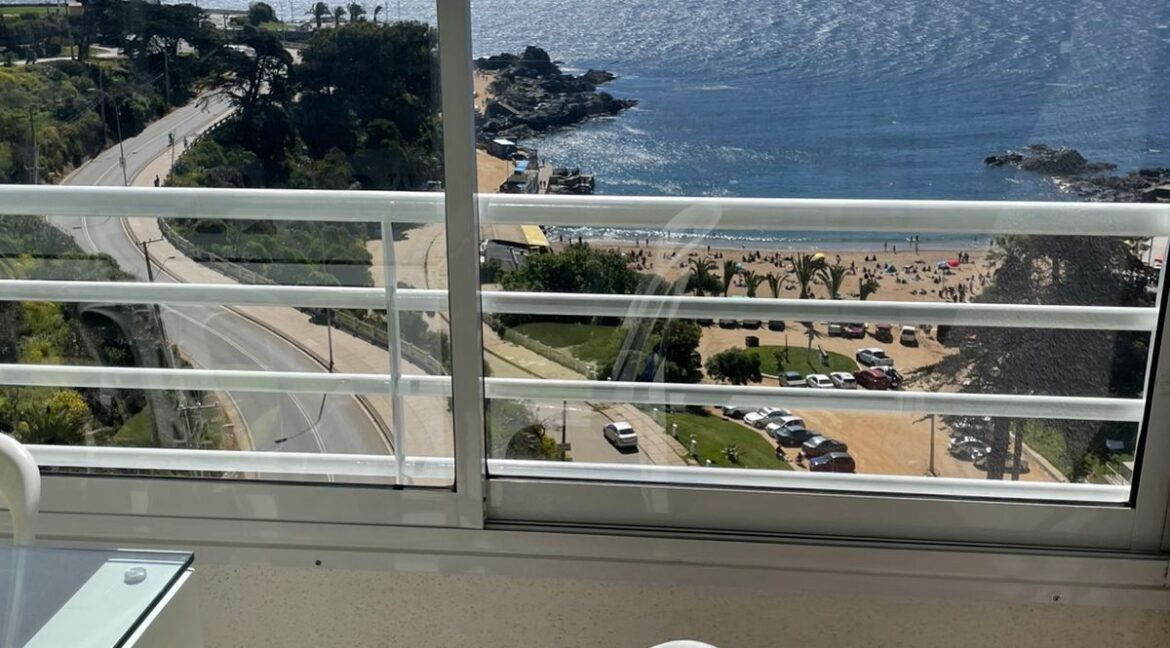 WhatsApp Image 2026-02-10 at 10.11.21 AM (3)