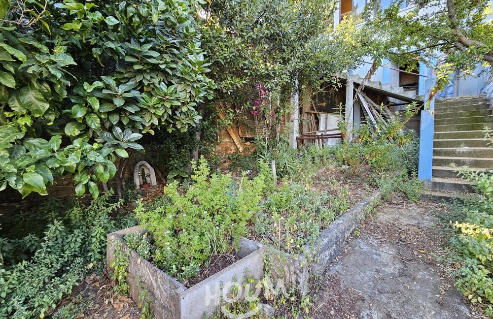 WhatsApp Image 2026-03-02 at 11.34.37 (1)