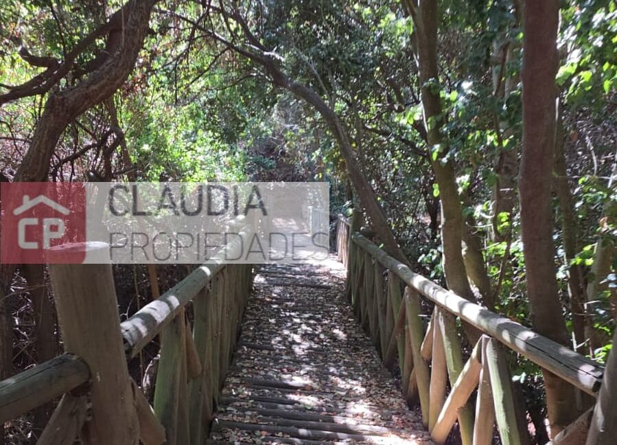 WhatsApp Image 2026-03-26 at 12.27.22 (3)